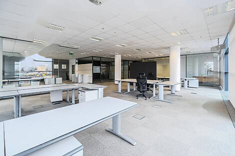 Помещение для офиса Шишка: 6