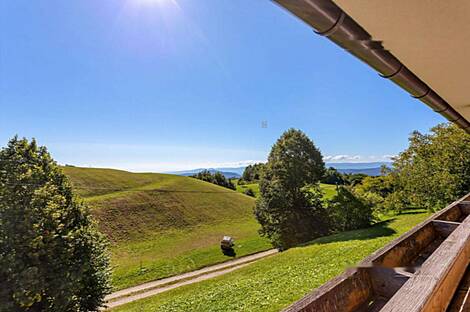 Резиденция, фермерское хозяйство Сеново, Доброва.: 10