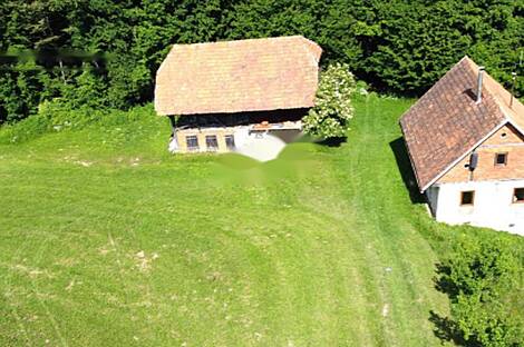 Дом, ферма Горная Вершина, Шентюр, Планина при Севници.: 5