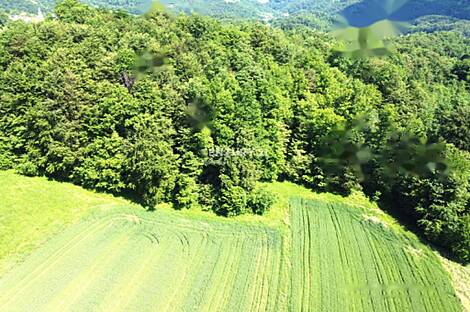 Дом, ферма Горная Вершина, Шентюр, Планина при Севници.: 25