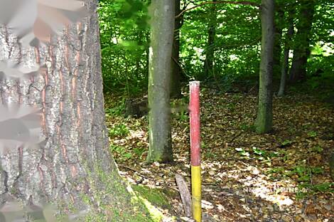 Дом, ферма Горная Вершина, Шентюр, Планина при Севници.: 26