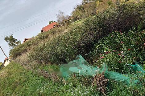 Жилище, Сеенице, Велика Лока Трбне: 5