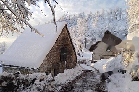 Дом Чепован в Локовеце: 5