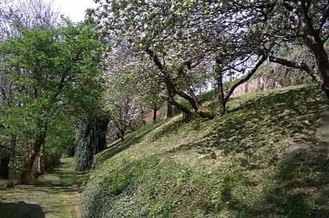 Фрам, дом: 12