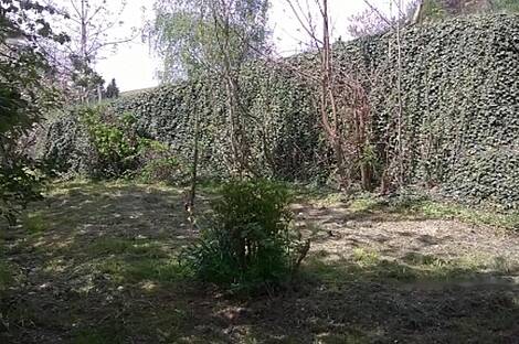 Фрам, дом: 17