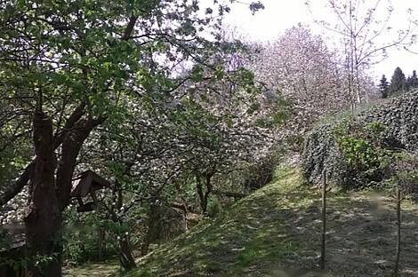 Фрам, дом: 18