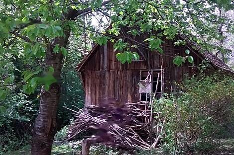 Фрам, дом: 19