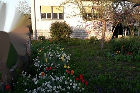 Дом, расположенный в Греговце.: 4