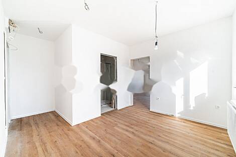 Полуторакомнатная квартира в Новом Любляне, Шишка: 4