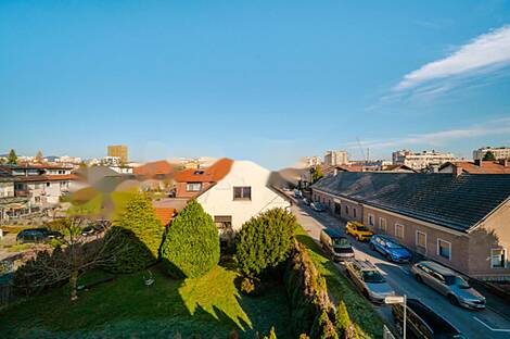 Полуторакомнатная квартира в Новом Любляне, Шишка: 7