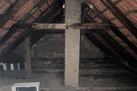 Жилье рядом со спортивным парком: 12