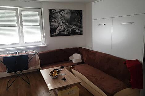 Жилье в Новом Поле: 1