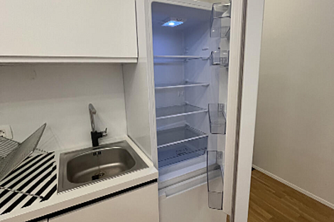 Апартаменты в центре Любляны: 16