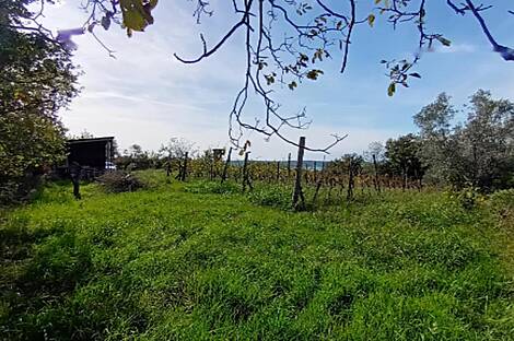 Дом с панорамой на Сечовельский залив: 3