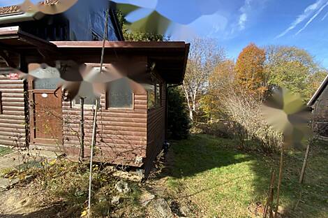 Дом в Плинтовеце: 1