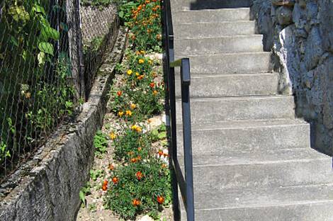 Дом, Завода, Дрожащая.: 4