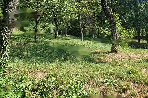 Дом, Завода, Дрожащая.: 18