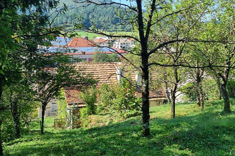 Дом, Завода, Дрожащая.: 22