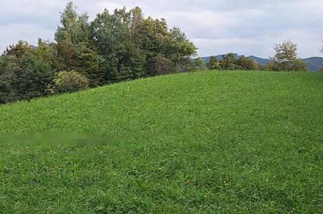 Дом и хозяйство Воловле: 1