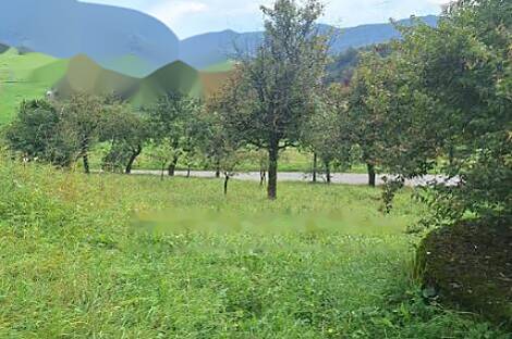 Дом и хозяйство Воловле: 2