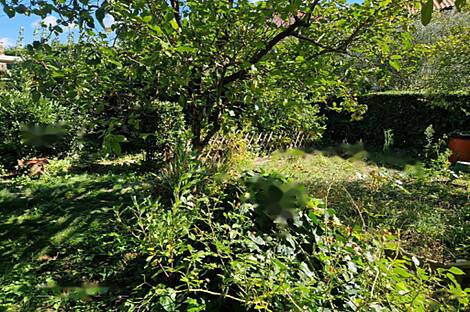 Трёхкомнатная квартира в Шмарье: 16