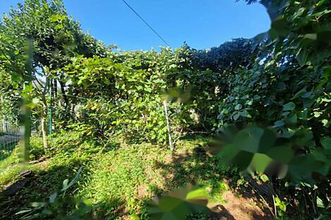 Трёхкомнатная квартира в Шмарье: 19