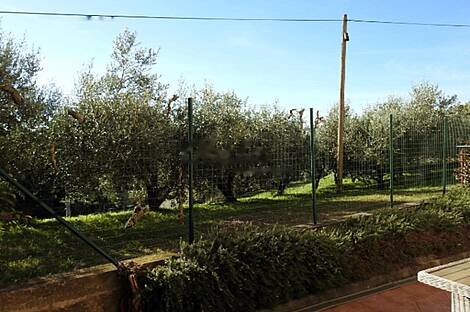 Однокомнатная квартира в Анкаране: 21