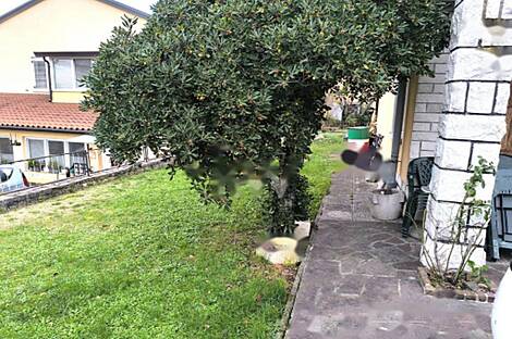 Коперская трехкомнатная квартира: 7