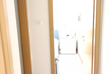 Трёхкомнатная квартира Сечовле: 9