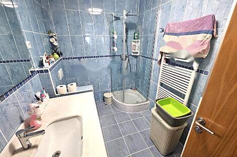 Дом с пятью или более комнатами: 11