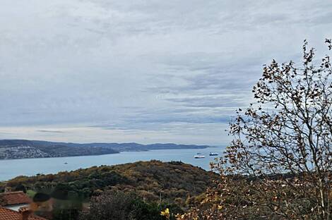 Дом с пятью или более комнатами: 22