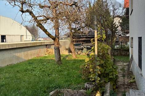 Вич, Любляна, дом у Долгого моста: 14