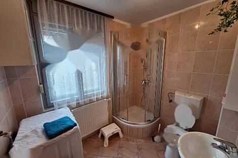 Вич, Любляна, дом у Долгого моста: 21