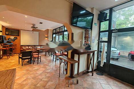 Дом бизнес-шишка: 9