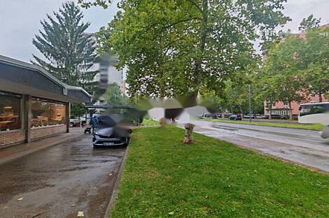 Дом для бизнеса, Шишка: 2