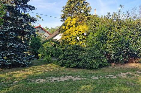 Дом в деревне Доманшевцы: 2