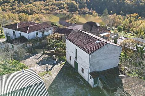 Загородный дом, хозяйство Козловичей.: 1