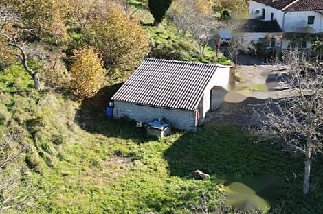 Загородный дом, хозяйство Козловичей.: 4