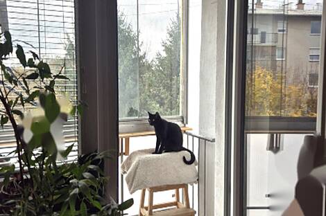 Квартира с одной комнатой Вич: 8