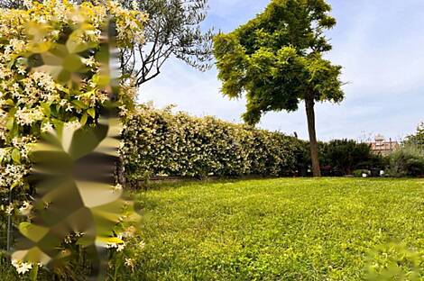 Трёхкомнатная квартира в Коломбане: 12