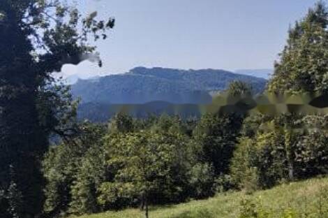 Велење, Топольшица, дом: 4