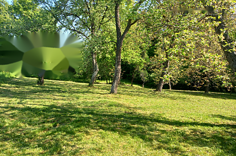 Дом, Мо́щанцы: 3