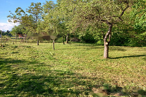 Дом, Мо́щанцы: 10