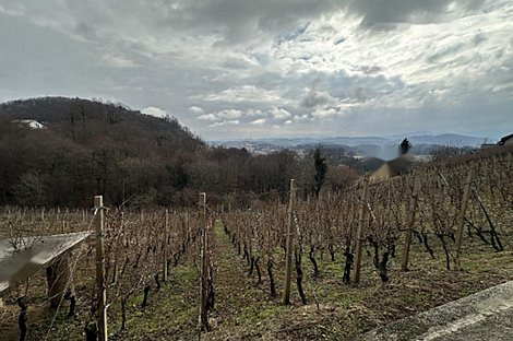 Дом, Древеник: 4