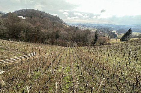 Дом, Древеник: 19