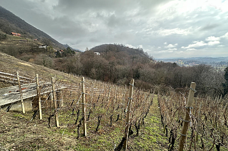 Дом, Древеник: 20