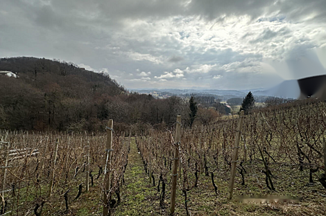 Дом, Древеник: 21