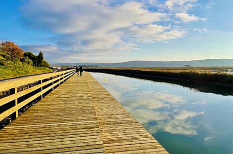 Новая трёхкомнатная квартира в доме Сеча: 21