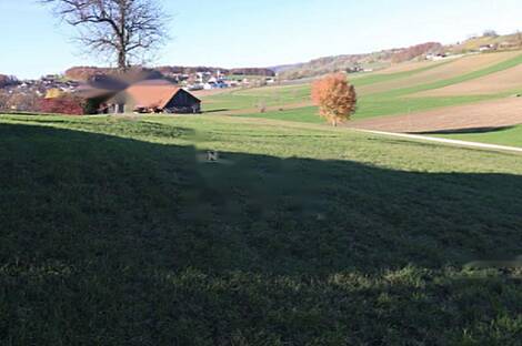 Усадьба Юровский Дол в Кметияново.: 26