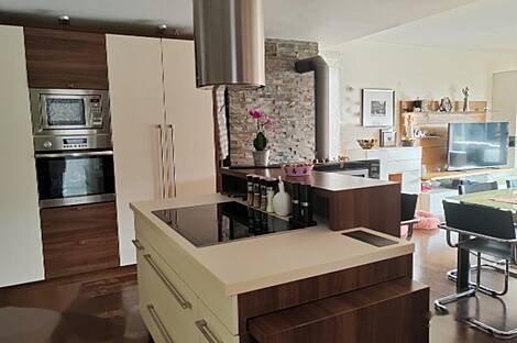 Дом, Шишка: 17